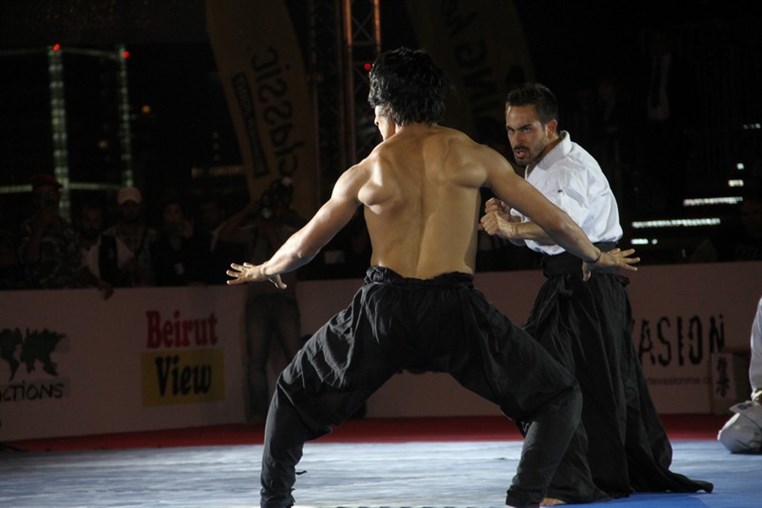 Martial Arts Festival